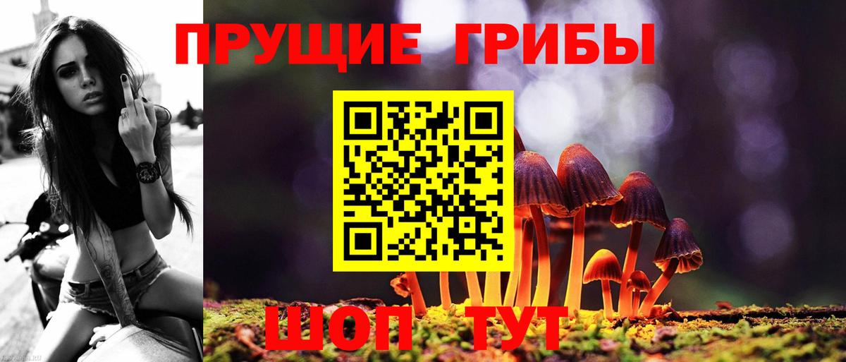 Псилоцибиновые грибы мицелий Мичуринск