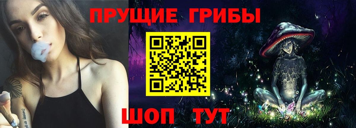 Псилоцибиновые грибы мухоморы  Вход с VPN  где можно купить   Мичуринск 